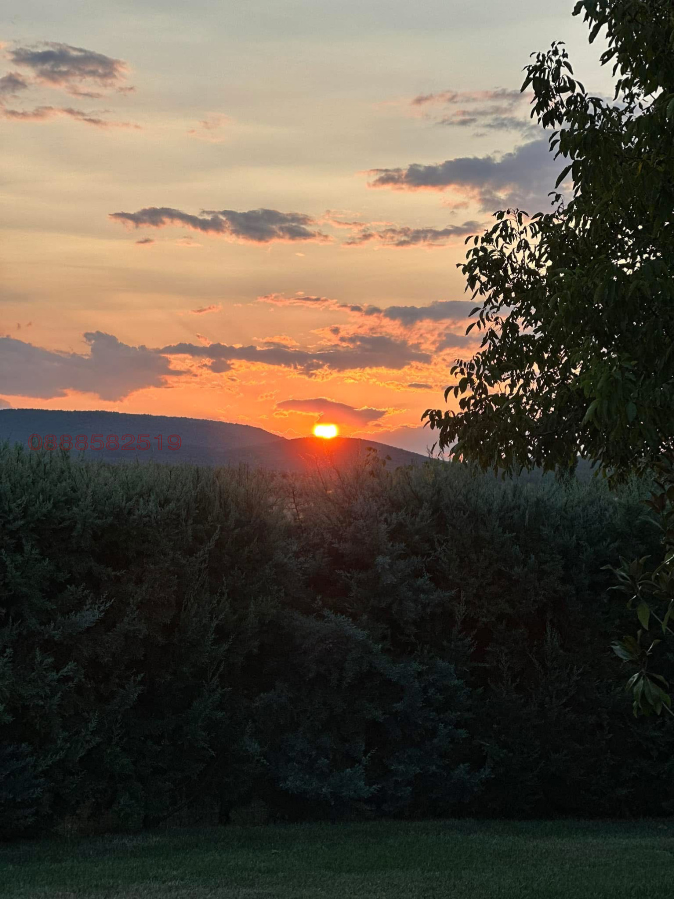 ������� ���� | Imot.bg � ����������� 5