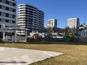 ����� ������� 2-�����,���� �����, �������