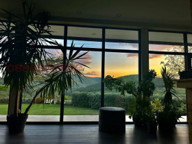 ������ ������� ����