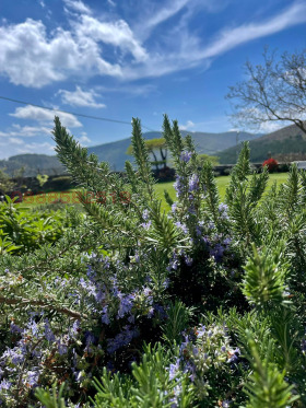 ������� ���� | Imot.bg � ����� ������ 13