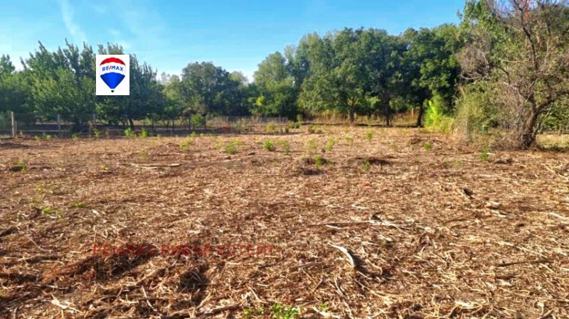 Продава ПАРЦЕЛ, с. Ряхово, област Русе, снимка 8 - Парцели - 49805656