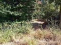Продава  Парцел град Враца , Студентски град , 1937 кв.м | 33365194 - изображение [3]