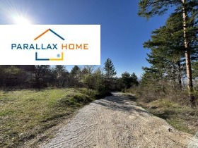 ����� ������� ����,���� �����, �. ������