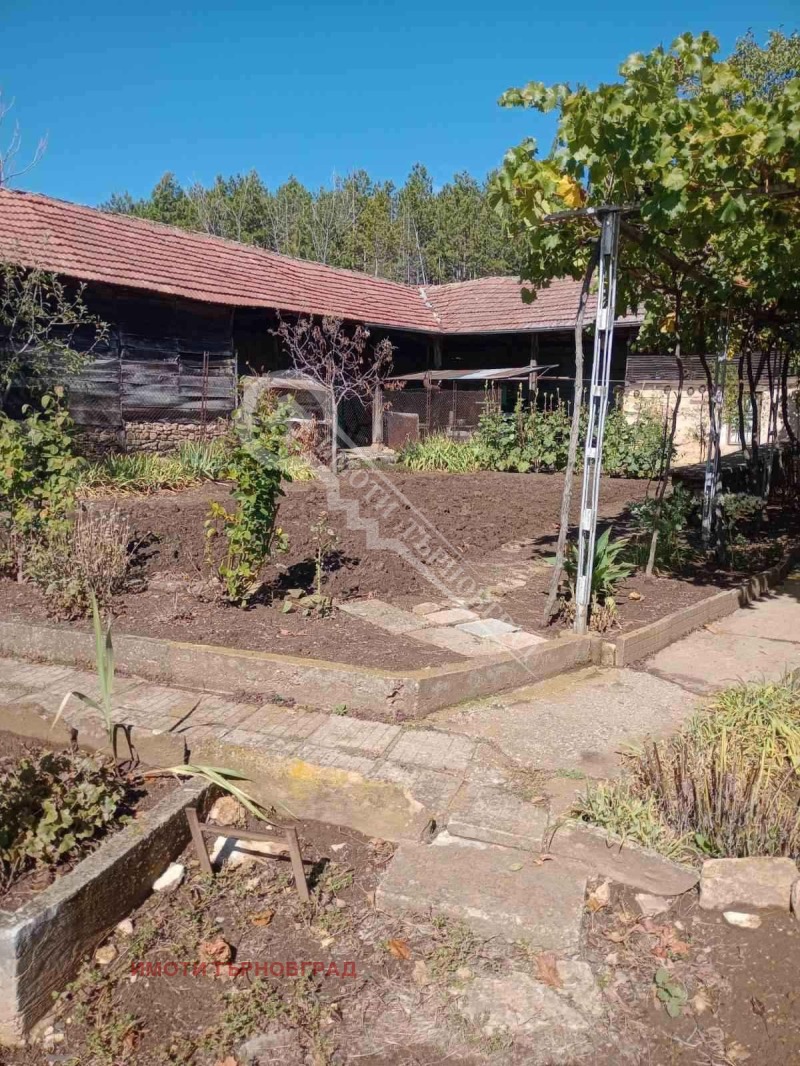 Продава КЪЩА, с. Коевци, област Велико Търново, снимка 5 - Къщи - 52152301