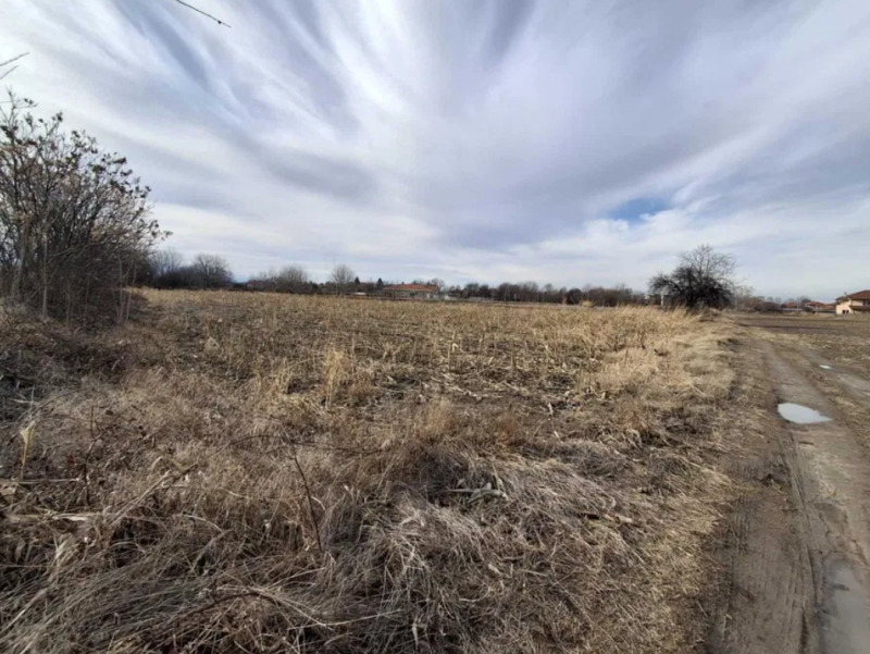 Til salgs  Plott region Plovdiv , Jagodovo , 2900 kvm | 13113513 - bilde [2]