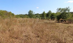 Juoni Varvara, Burgasin alue
