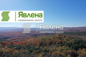 ������� ������ | Imot.bg � ����� ������ 8