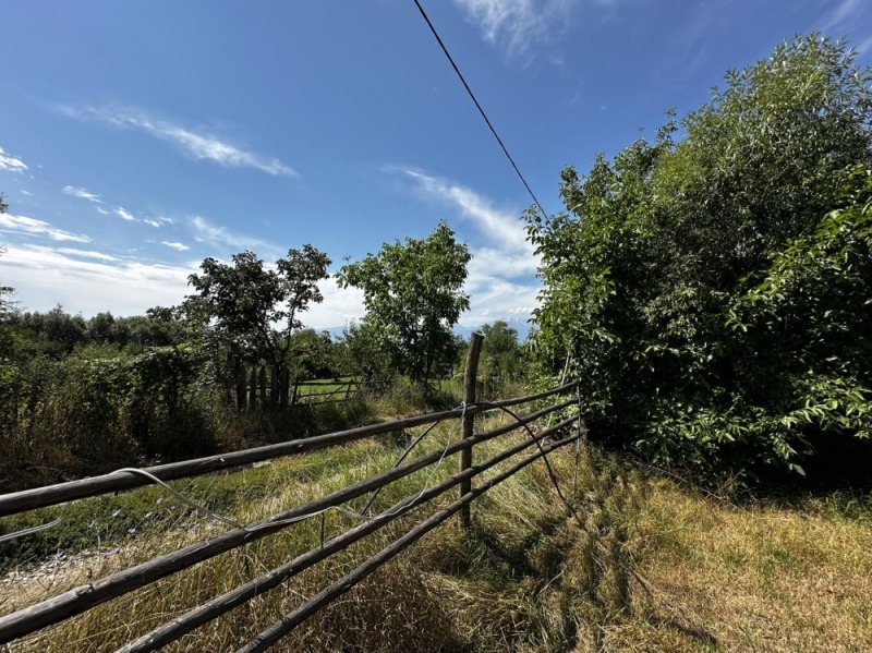 Προς πώληση  Οικόπεδο περιοχή Μπλαγκόεβγκραντ , Δοβαρσκο , 1278 τ.μ | 51844461 - εικόνα [9]