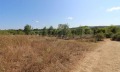Продава ПАРЦЕЛ, област Бургас, с. Варвара • 135000 € • 24904751 — Holmes.bg