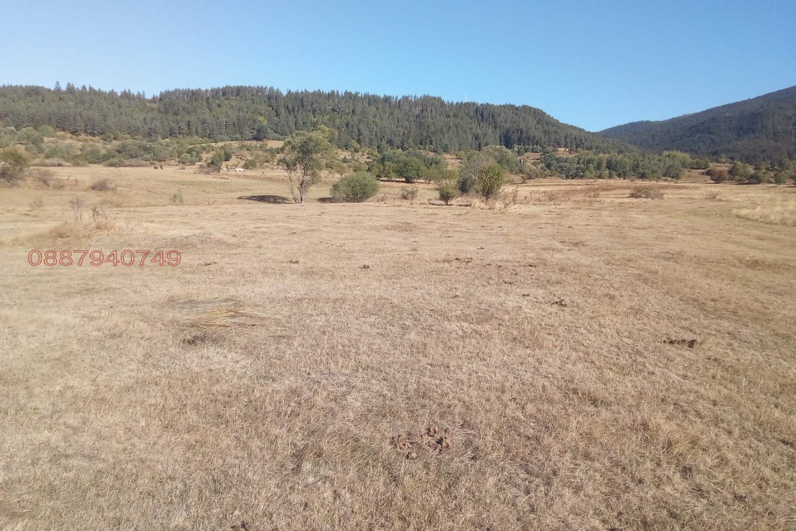 ������� ������ | Imot.bg � ����������� 8