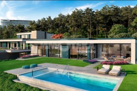 ����� ������� ����,�. ����� ����, ������ �����