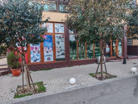 ����� ������� �������,���� ������, ��������