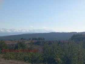 ����� ������� ������,�. ����� ����, ������ �����