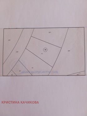 ����� ������� ������,�. ����� ����, ������ �����