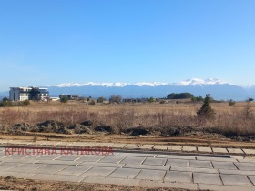 ����� ������� ������,�. ����� ����, ������ �����