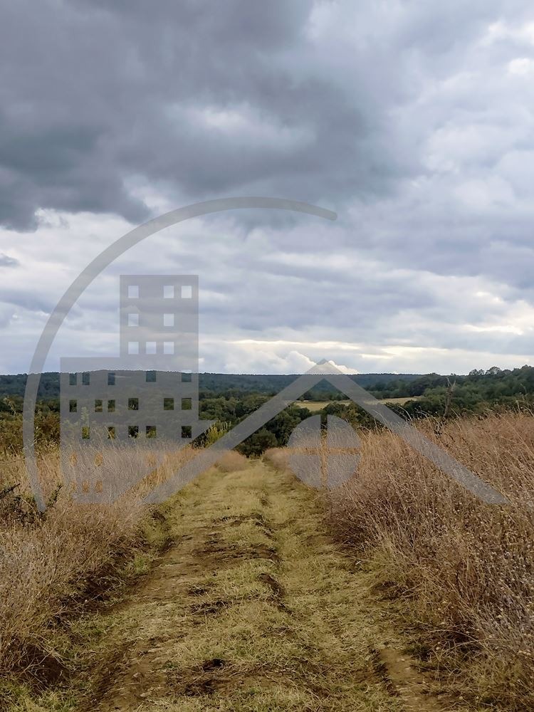 Zu verkaufen  Handlung region Burgas , Obzor , 9748 qm | 12742385 - Bild [2]