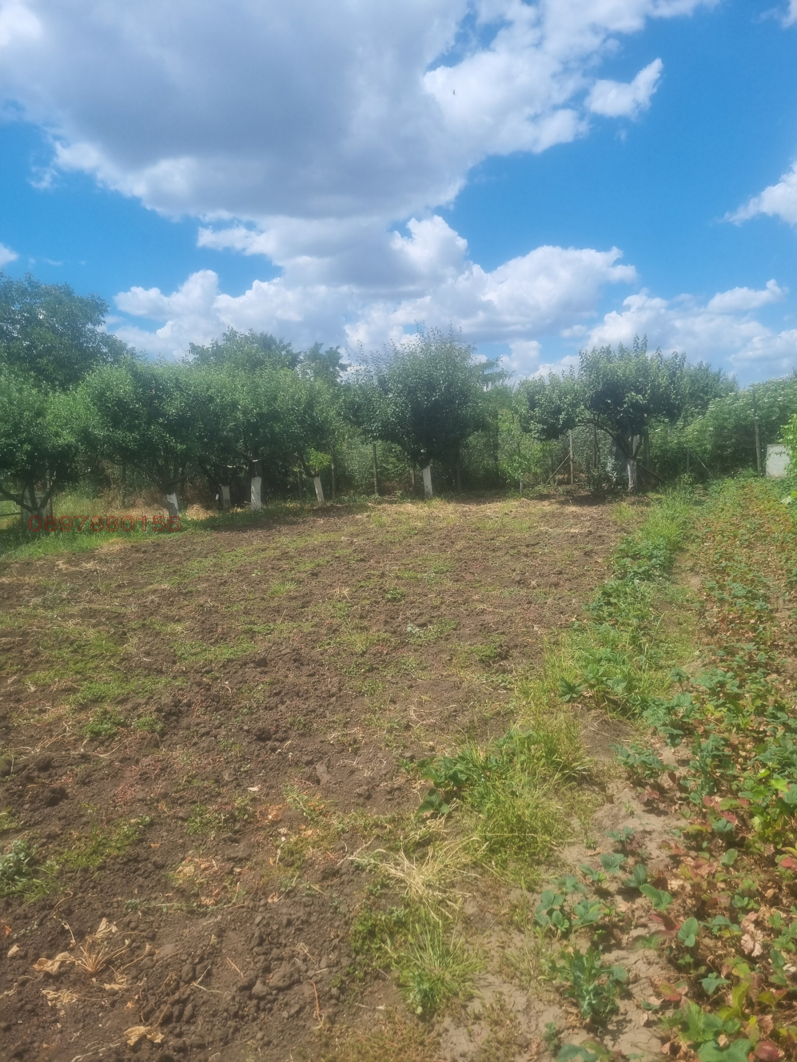 Продава ПАРЦЕЛ, гр. Генерал Тошево, област Добрич, снимка 3 - Парцели - 55187215