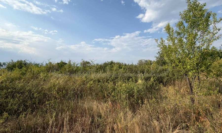 Продава ПАРЦЕЛ, гр. Добринище, област Благоевград, снимка 6 - Парцели - 55804184