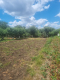 Продава  Парцел област Добрич , гр. Генерал Тошево , 730 кв.м | 87692159 - изображение [3]