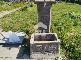 Hus Susam, region Haskovo 5