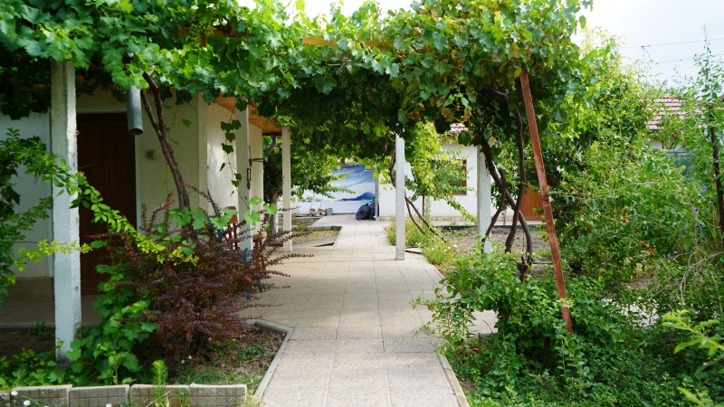 Продава КЪЩА, с. Новачене, област Плевен, снимка 14 - Къщи - 52783171