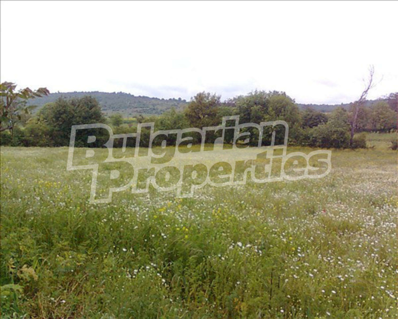 Продава ПАРЦЕЛ в област Ямбол, с. Мамарчево - 6900 кв.м / 17 600 € » 34 422.61 лв., БЪЛГЕРИАН ПРОПЕРТИС