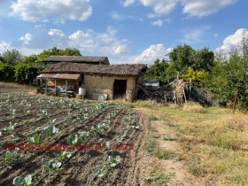Будинок Рилци, Добрич 3