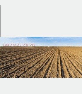 ����� ������� ���������� ����,�. ���������, ������ ��������