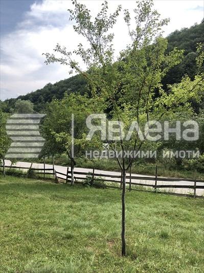 Продаја  Плот регион Ловецх , Тетевен , 1505 м2 | 91077669 - слика [10]