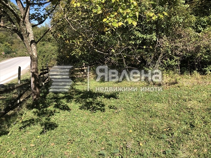 Продаја  Плот регион Ловецх , Тетевен , 1505 м2 | 91077669 - слика [6]
