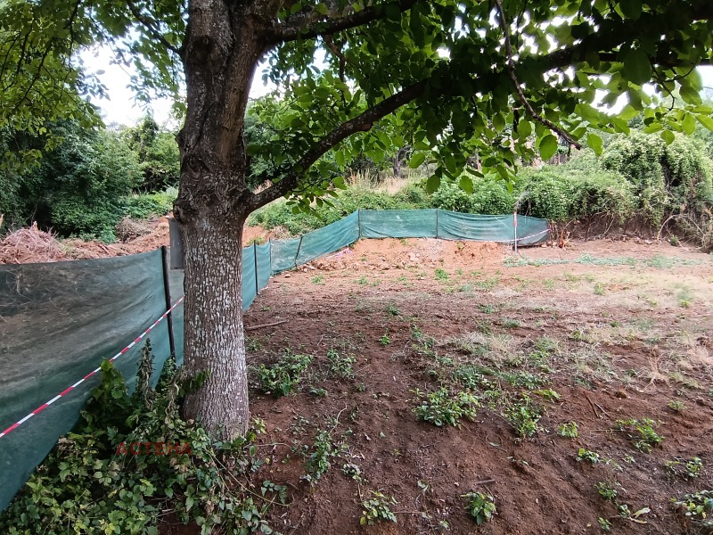Zu verkaufen  Handlung region Pernik , Gorna Dikanja , 410 qm | 84539147 - Bild [12]