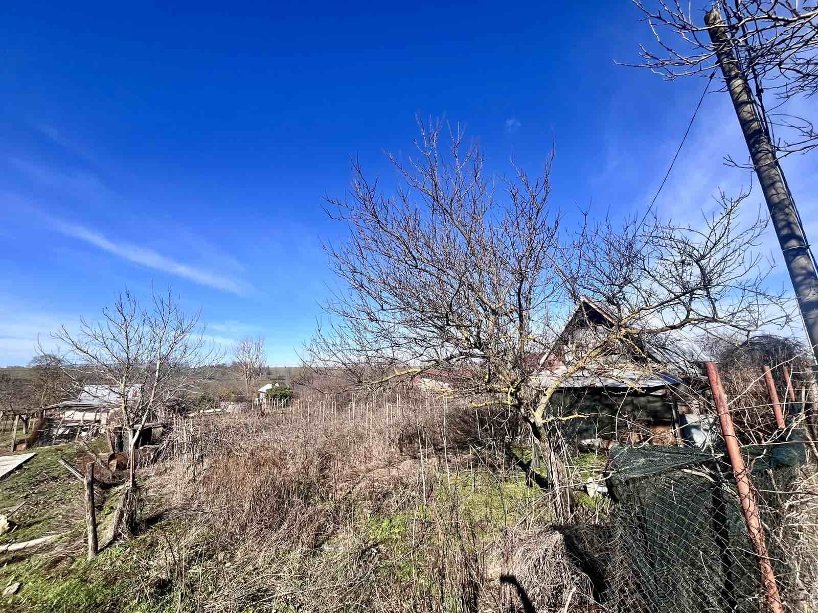 Продава ПАРЦЕЛ, с. Бранище, област Добрич, снимка 3 - Парцели - 53913009