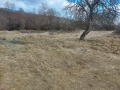 Продава ПАРЦЕЛ, с. Ковачевци, област Перник, снимка 2