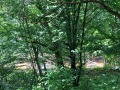 Продава БИЗНЕС ИМОТ, с. Боазът, област Габрово, снимка 15