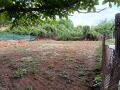 Продава ПАРЦЕЛ, област Перник, с. Горна Диканя • 30000 € • 47645065 — Holmes.bg