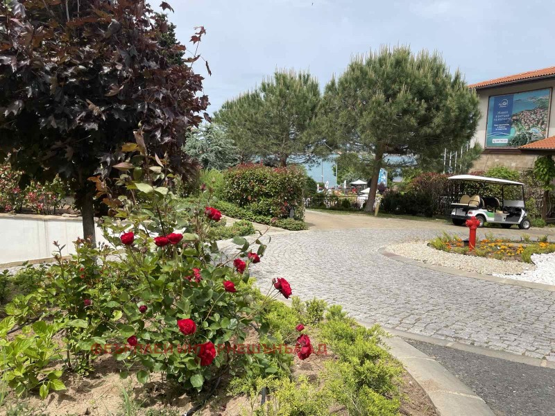 Eladó  Stúdió régió Burgasz , Sozopol , 53 négyzetméter | 84261982 - kép [8]