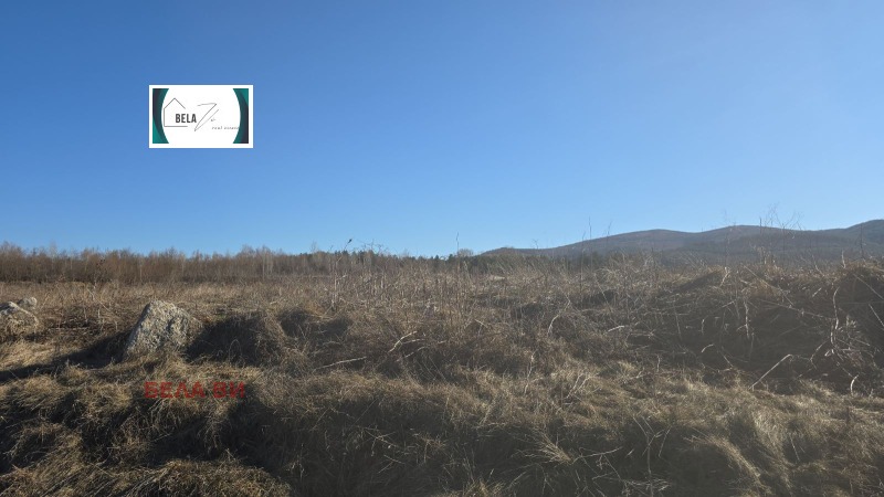 Продава ПАРЦЕЛ, с. Черна гора, област Перник, снимка 2 - Парцели - 52986634