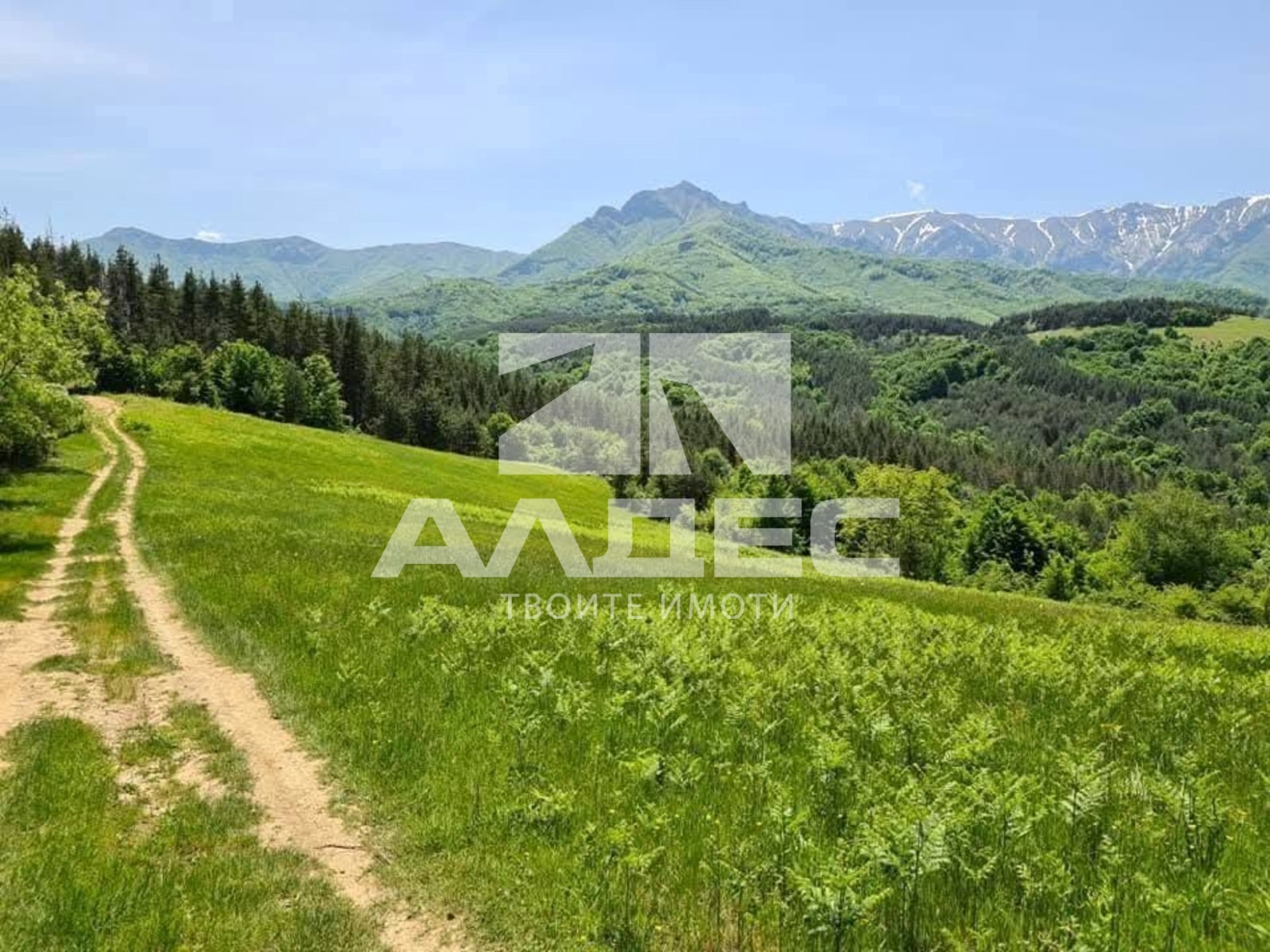 ������� ���� | Imot.bg � ����������� 14
