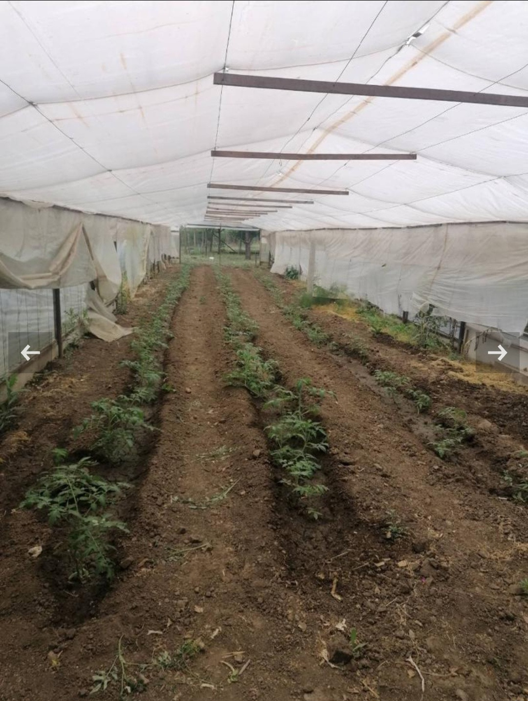 Продава ЗАВЕДЕНИЕ | Imot.bg — изображение 11