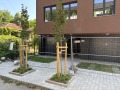 Продава 1-СТАЕН, град София, Хаджи Димитър • 128000 € • 60892636 — Holmes.bg