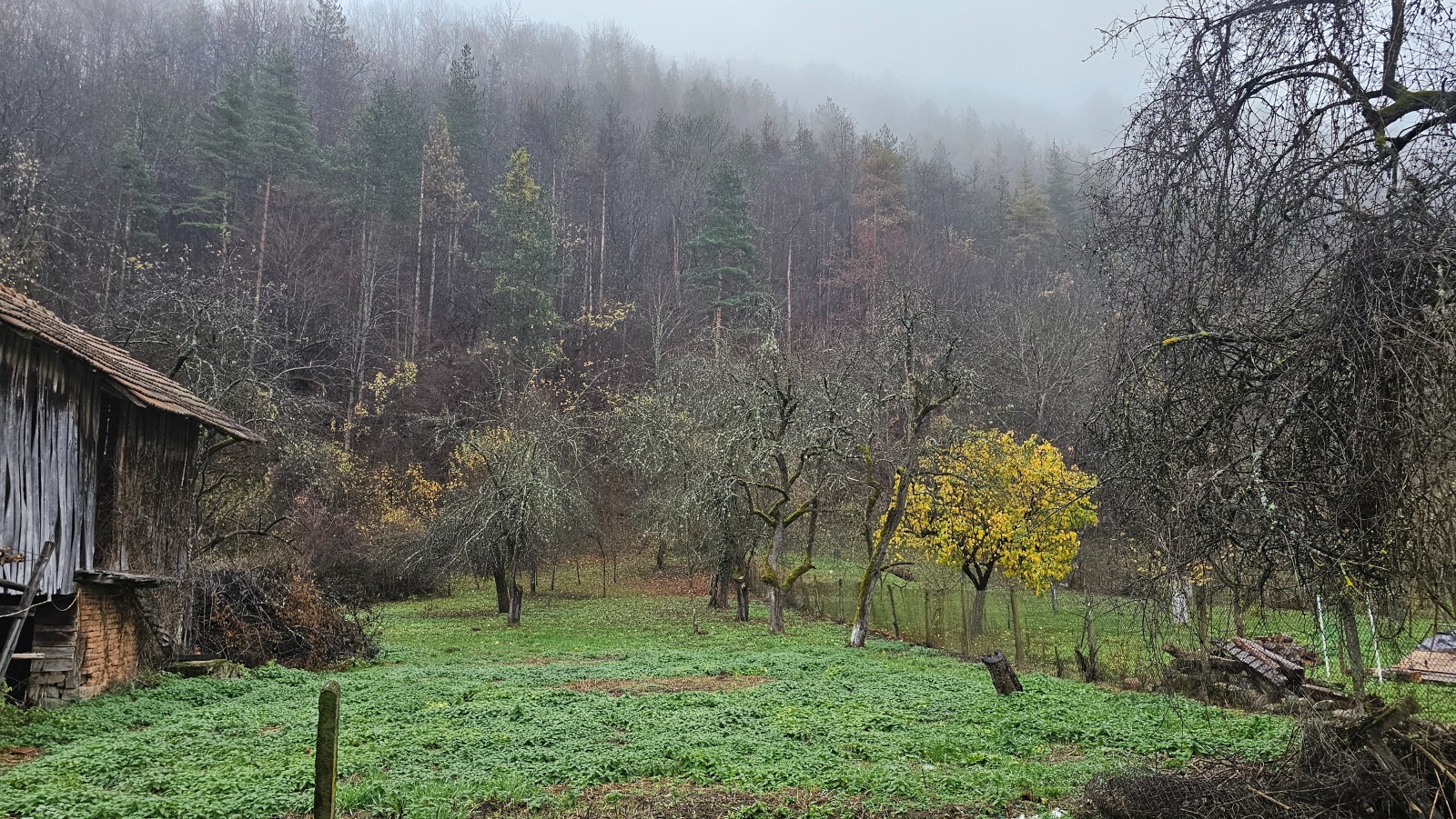 ������� ���� | Imot.bg � ����������� 5