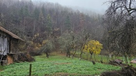 ������� ���� | Imot.bg � ����� ������ 5