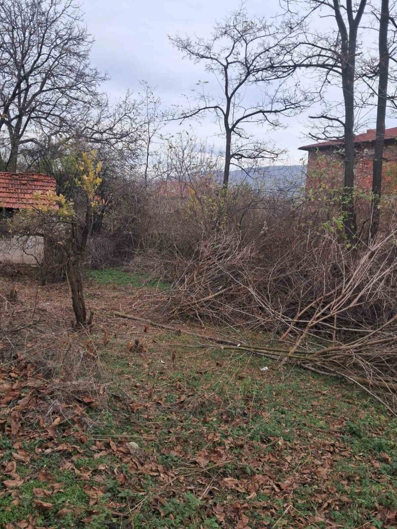 Продава ПАРЦЕЛ, с. Кралев дол, област Перник, снимка 3 - Парцели - 52490037