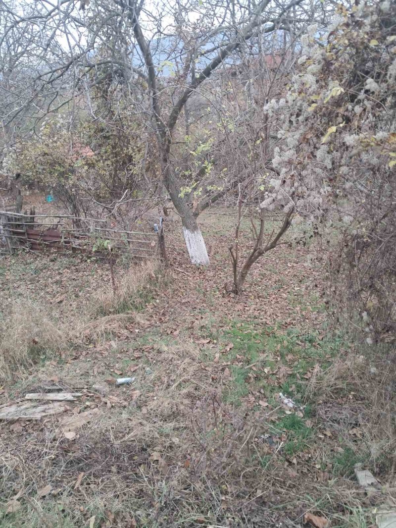 Продава ПАРЦЕЛ, с. Кралев дол, област Перник, снимка 4 - Парцели - 52490037