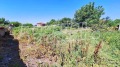 Продава ПАРЦЕЛ, с. Момино село, област Пловдив, снимка 3