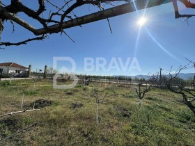 ������� ������ | Imot.bg � ����� ������ 7