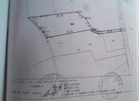 ������ ������� ������