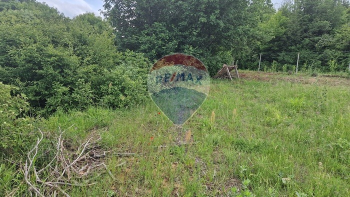 For Sale  Plot region Plovdiv , Ruen , 1369 sq.m | 64488445 - image [4]