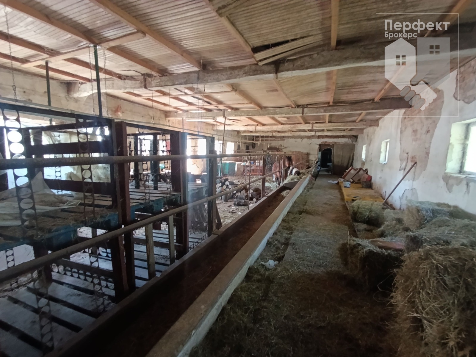 Продава БИЗНЕС ИМОТ, с. Жълтеш, област Габрово, снимка 10 - Други - 54548328