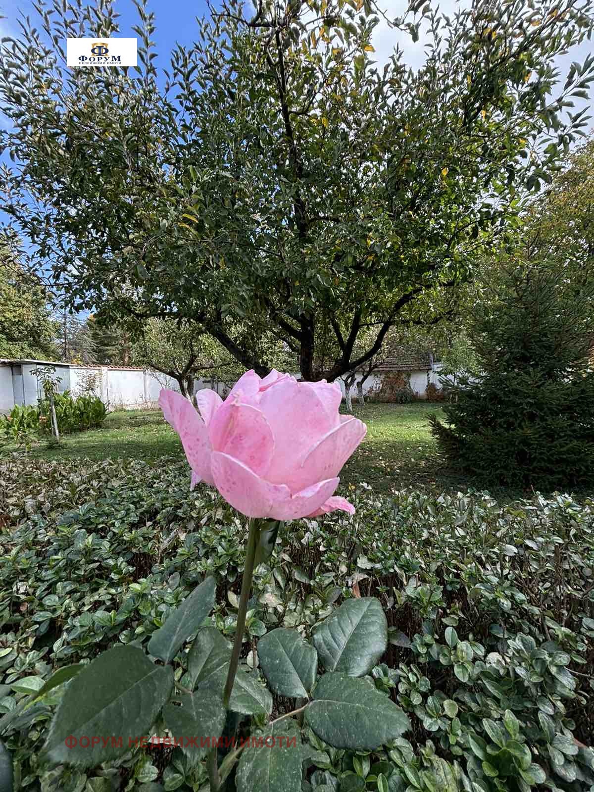 Продава КЪЩА | Imot.bg — изображение 4